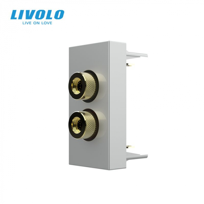 Modul priza cu mufa redare sunet 1M Livolo [1]