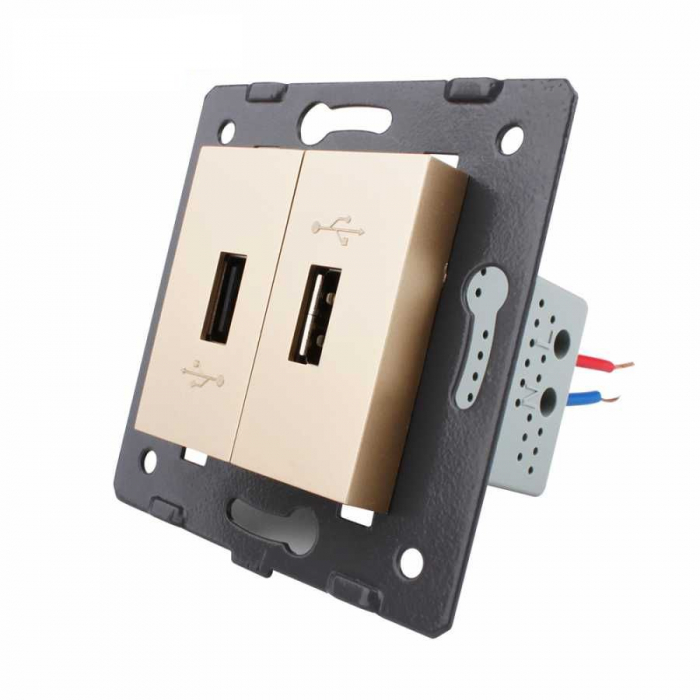 Modul priza dubla usb Livolo [1]