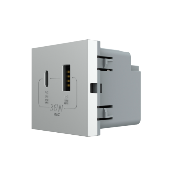 Modul priza dubla USB + USB tip C Livolo [1]