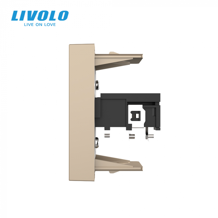 Modul priza microfon 1M Livolo [2]