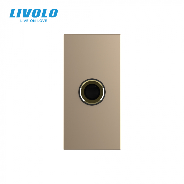 Modul priza microfon 1M Livolo [3]