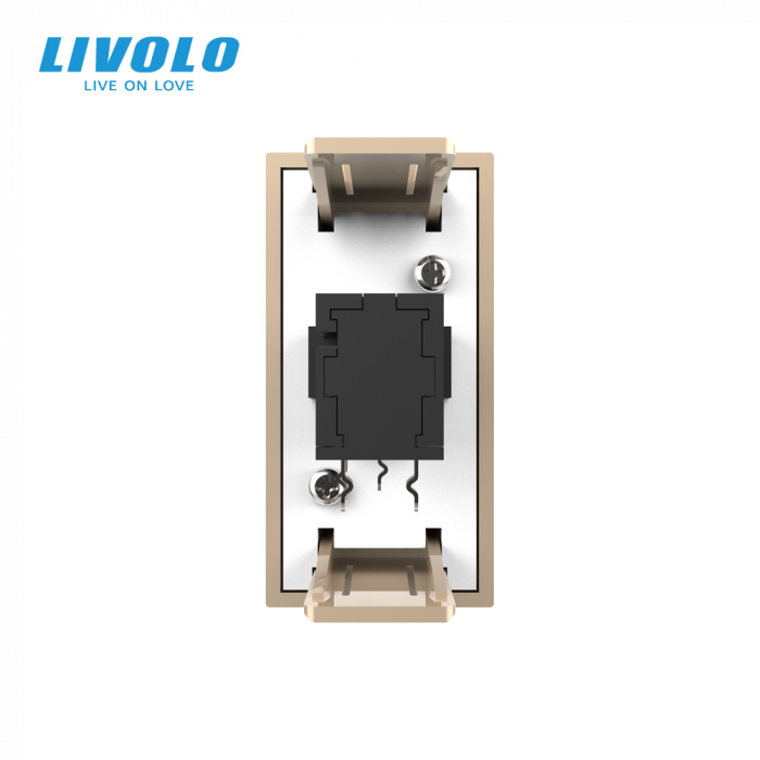 Modul priza microfon 1M Livolo [4]