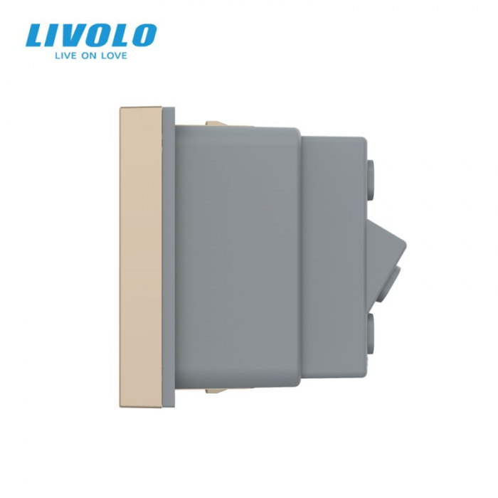 Modul priza simpla standard italian Livolo 1 modul [2]