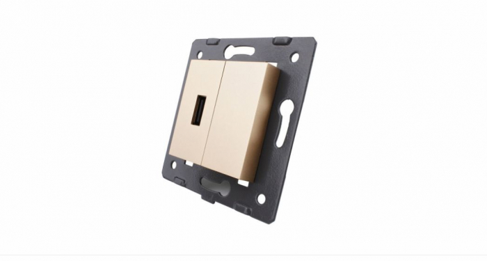 Modul Priza simpla USB Livolo VL-C7-1USB [1]