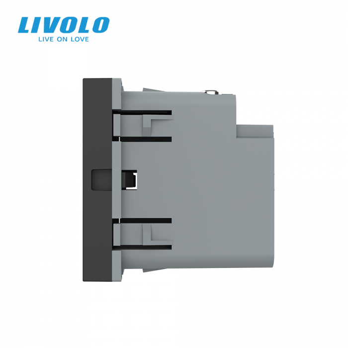 Modul priza USB tip C cu alimentare 45W Livolo-2M [3]