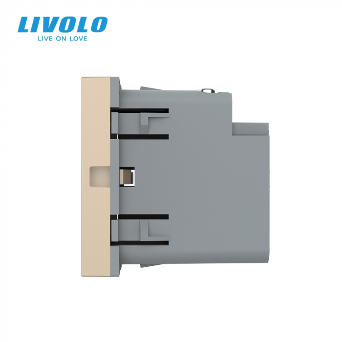 Modul priza USB tip C cu alimentare 45W Livolo-2M [4]