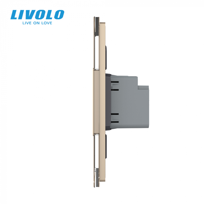 Priza dubla USB si USB tip C cu panou din sticla standard italian Livolo [2]