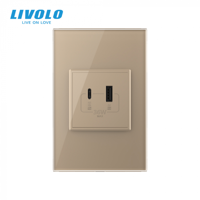 Priza dubla USB si USB tip C cu panou din sticla standard italian Livolo [3]