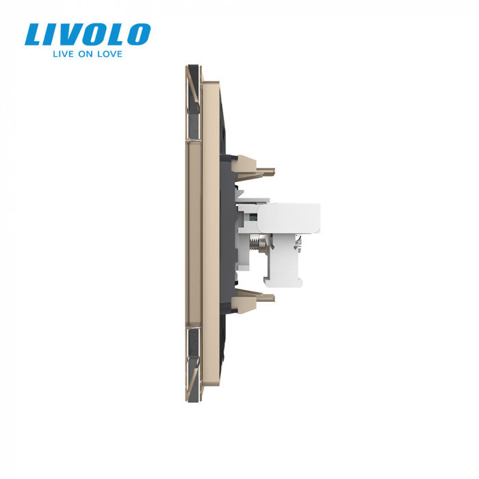 Priză simplă telefon cu panou sticla crystal Livolo [3]