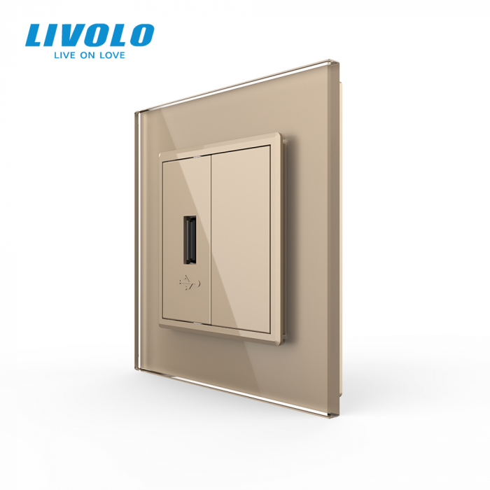 Priza simpla USB cu panou sticla Livolo [1]