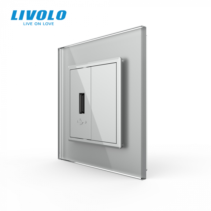 Priza simpla USB cu panou sticla Livolo [1]