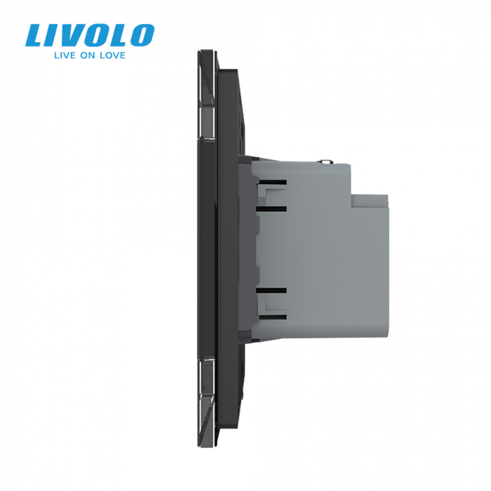 Priza USB tip C cu alimentare 45W Livolo-2 module [2]