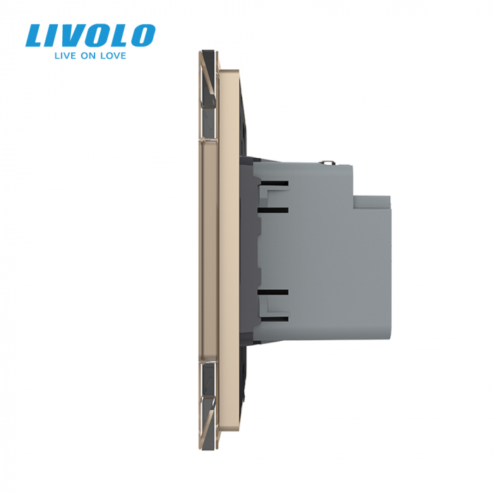 Priza USB tip C cu alimentare 45W Livolo-2 module [2]