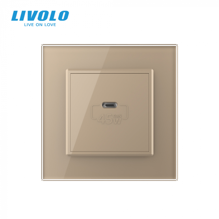 Priza USB tip C cu alimentare 45W Livolo-2 module [3]