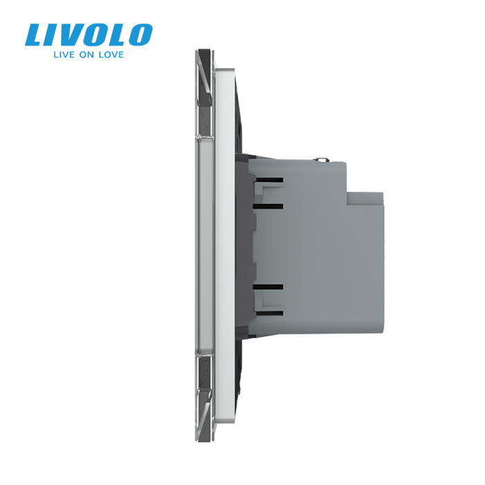 Priza USB tip C cu alimentare 45W Livolo-2 module [2]