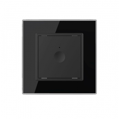 Intrerupator simplu smart cu touch,cap scara Livolo, seria noua [1]