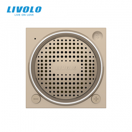 Modul difuzor Bluetooth, 2 module Livolo [2]