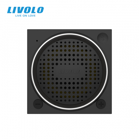 Modul difuzor Bluetooth, 2 module Livolo [2]