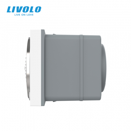 Modul difuzor Bluetooth, 2 module Livolo [1]