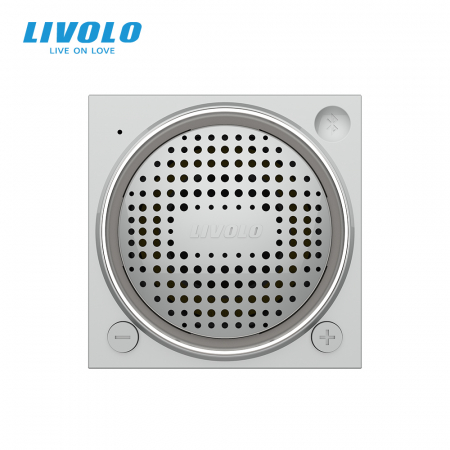 Modul difuzor Bluetooth, 2 module Livolo [2]