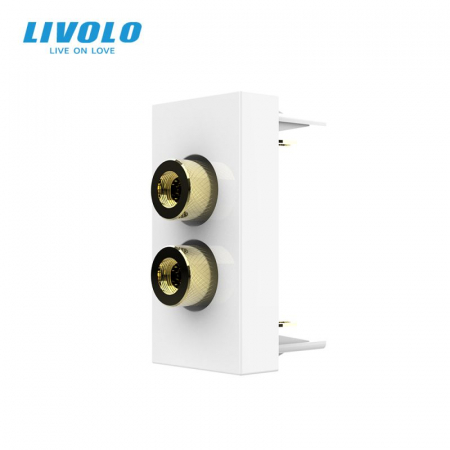 Module - Modul priza cu mufa redare sunet 1M Livolo