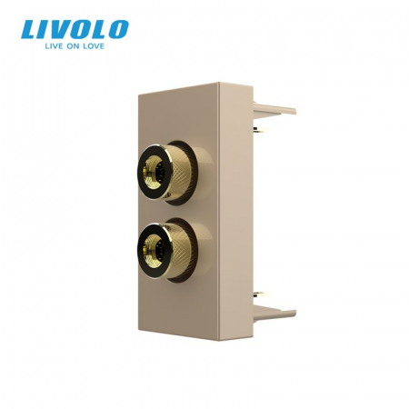Module - Modul priza cu mufa redare sunet 1M Livolo