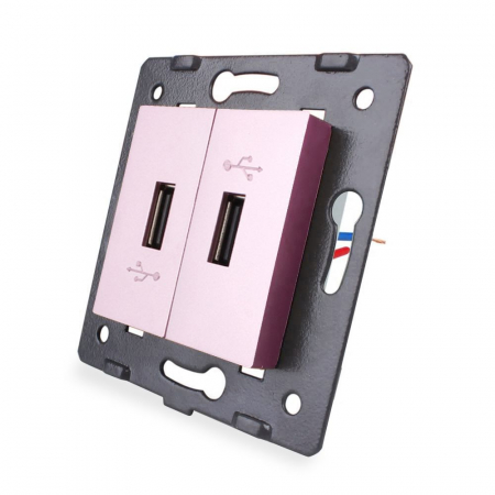 Electrice - Modul priza dubla usb Livolo