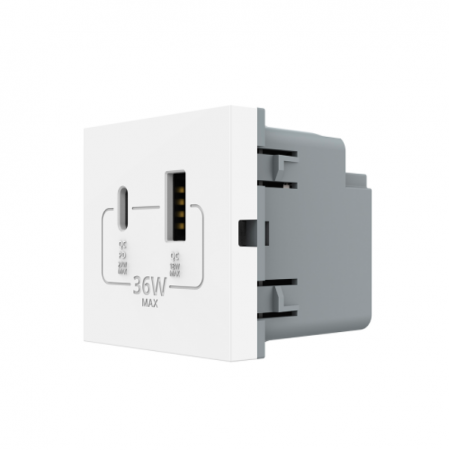 Module - Modul priza dubla USB + USB tip C Livolo
