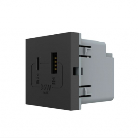 Module - Modul priza dubla USB + USB tip C Livolo