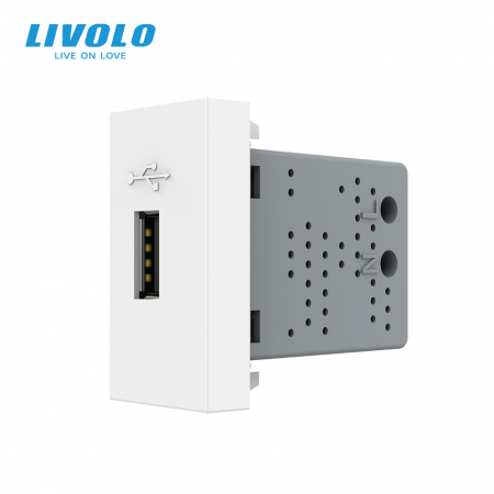 Module - Modul priza USB Livolo, 1 modul