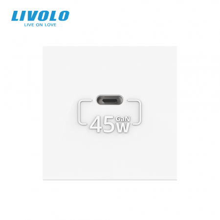 Modul priza USB tip C cu alimentare 45W Livolo-2M [1]