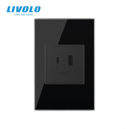 Priza dubla USB si USB tip C cu panou din sticla standard italian Livolo [2]