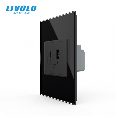 Electrice - Priza dubla USB si USB tip C cu panou din sticla standard italian Livolo