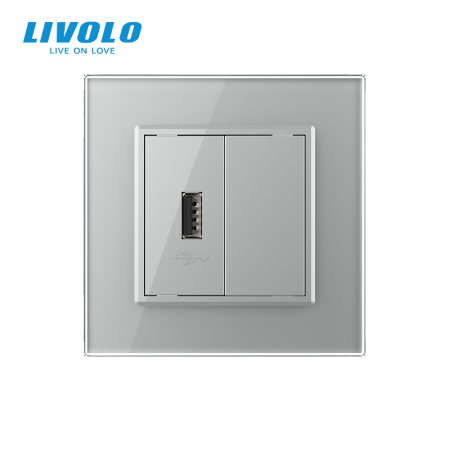 Priza simpla USB cu panou sticla Livolo [1]