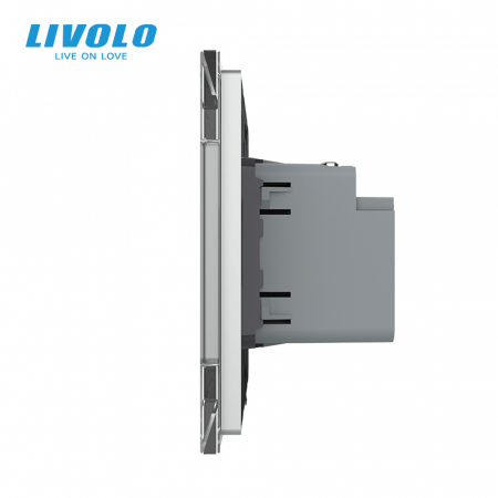 Priza USB tip C cu alimentare 45W Livolo-2 module [1]