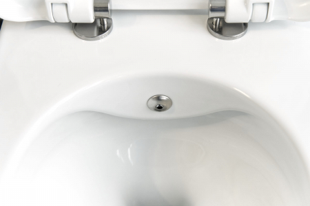 Vas de WC suspendat cu funcție de bideu + baterie si capac WC,Deante, colectia Peonia [4]