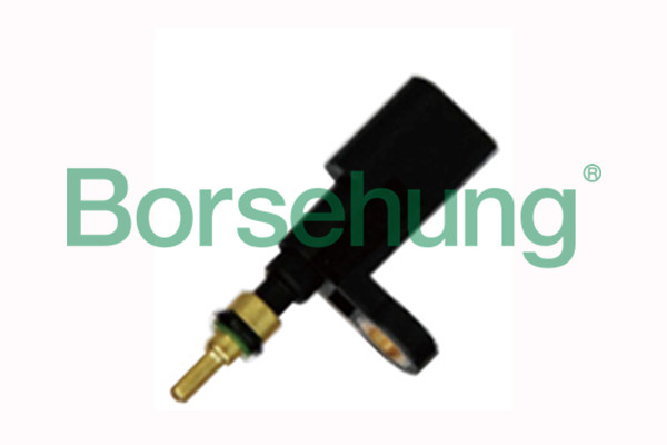 SENZOR TEMPERATURA LICHID RACIRE [2]