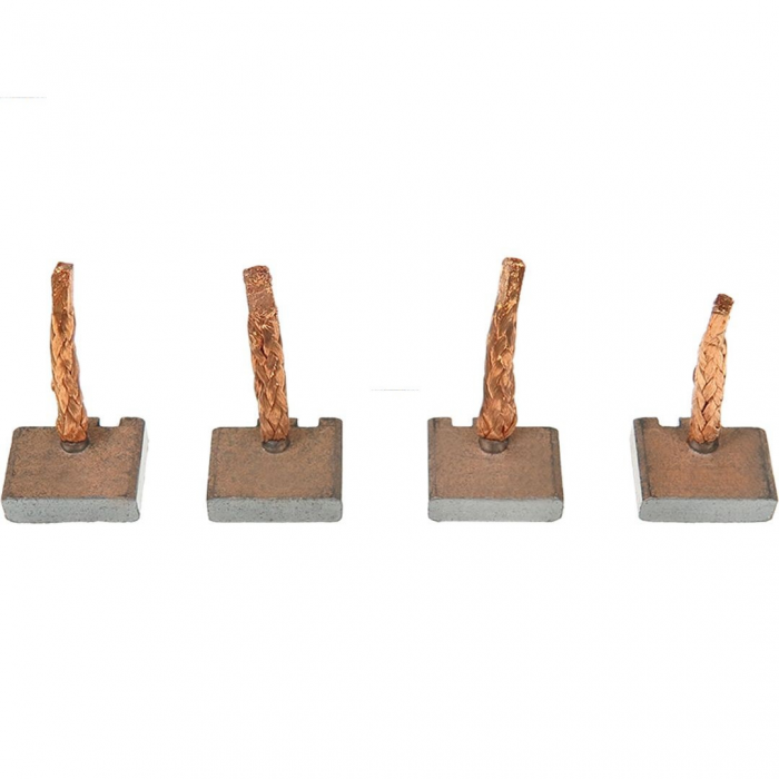 Set 4x carbune electromotor tip Bosch - BSX159-160 [1]