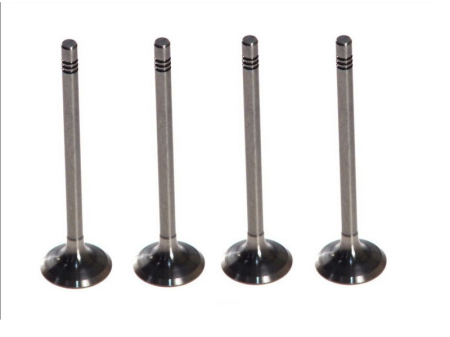 Rapid - Set supape evacuare Audi-Seat-Skoda-Volkswagen