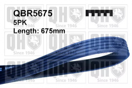 Produse - CUREA ACCESORII QBR5675