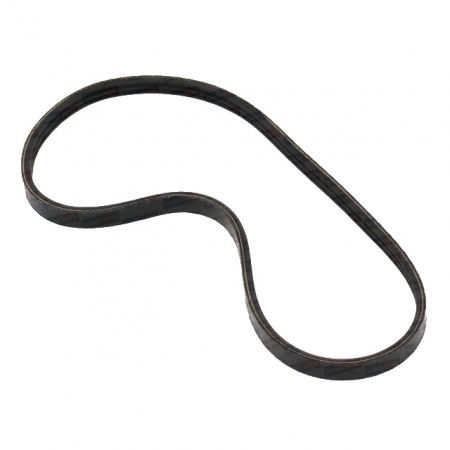 Curele accesorii - CUREA ACCESORII 3PK683