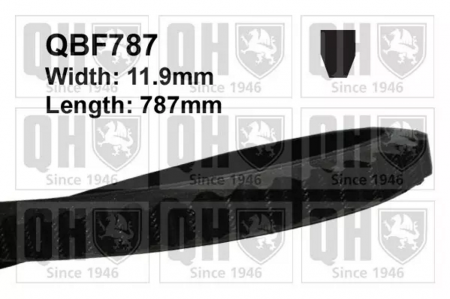 Curele accesorii - CUREA ACCESORII QBF787