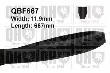 Curele accesorii - CUREA ACCESORII QBF667