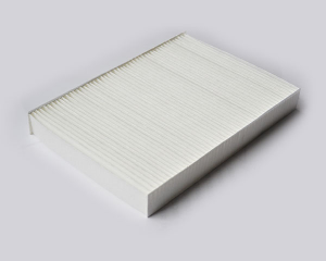 Produse - FILTRU POLEN 03.04.103