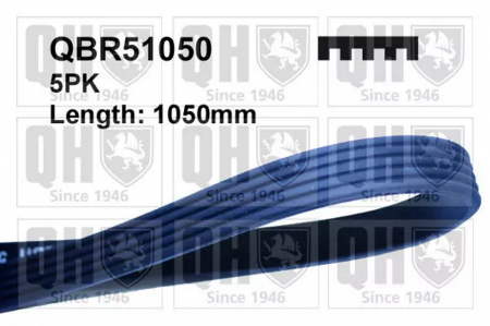 Produse - CUREA ACCESORII QBR51050