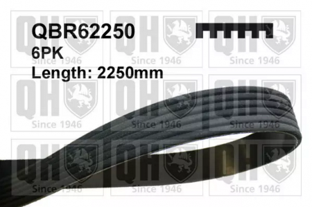 Produse - CUREA ACCESORII QBR62250