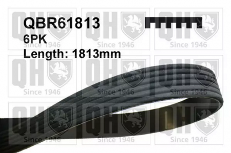 Produse - CUREA ACCESORII QBR61813