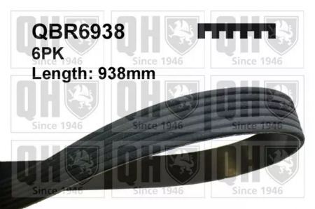 Produse - CUREA ACCESORII QBR6938