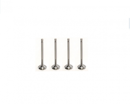 Motor - SET SUPAPE EVACUARE LADA