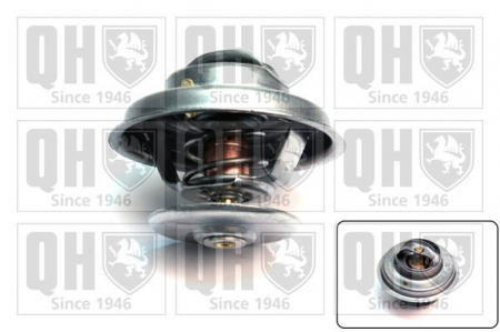 Racire - TERMOSTAT AUDI-MERCEDES-SKODA SUPERB-DAEWOO